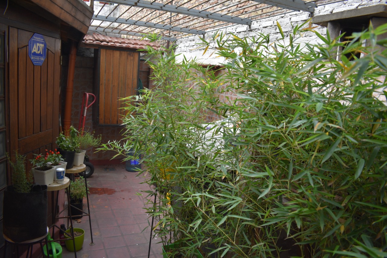 Whatsapp image 2019 07 19 at 1.33.23 pm