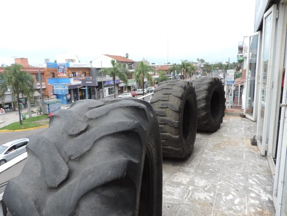 Imagen6