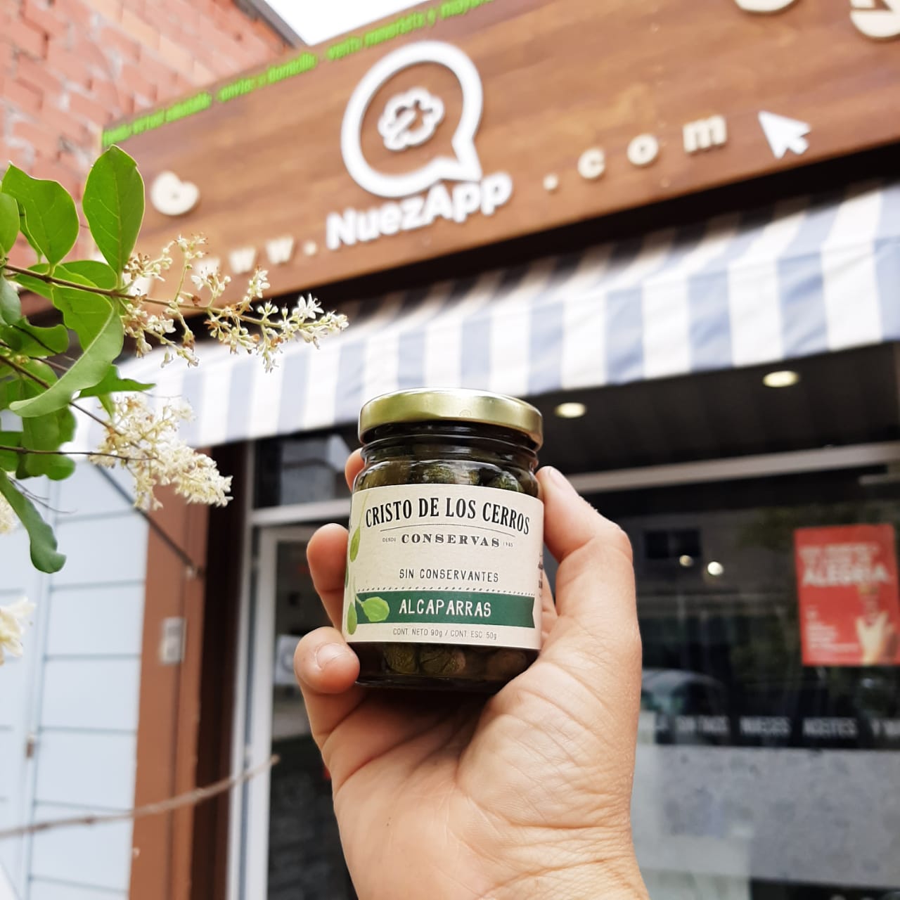 Whatsapp image 2020 12 02 at 13.59.21