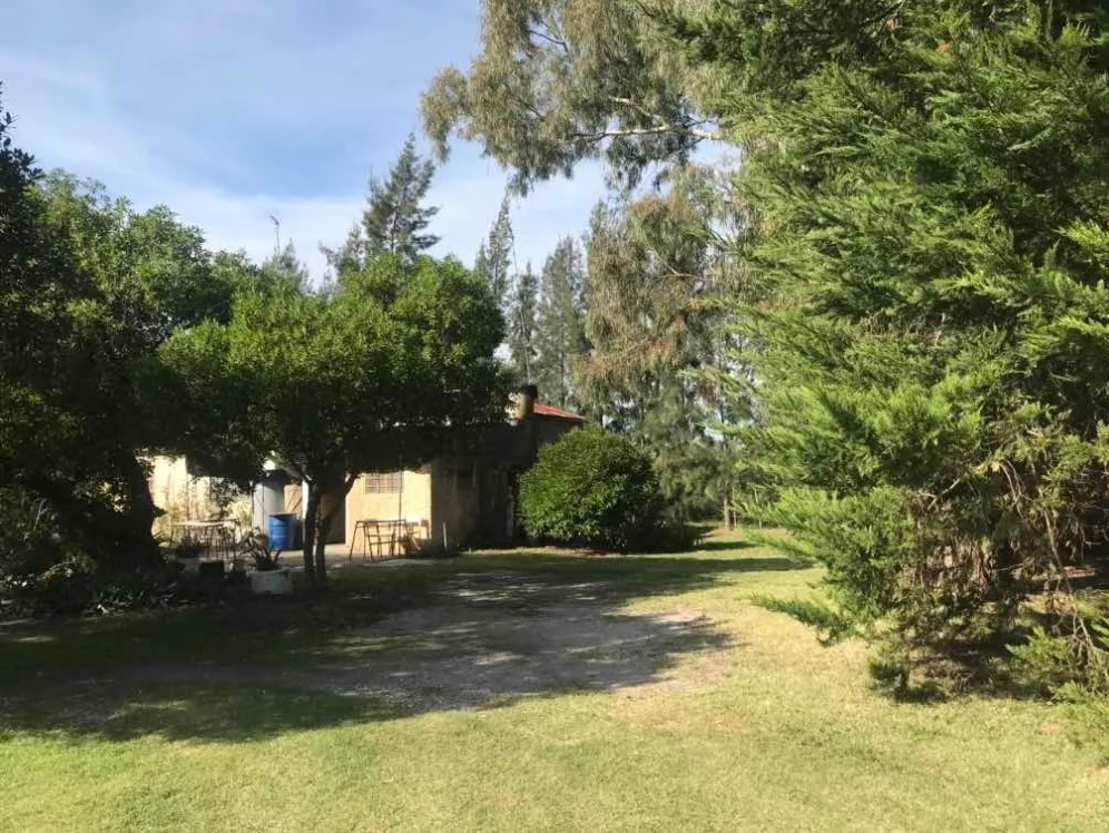 Campo berisso5