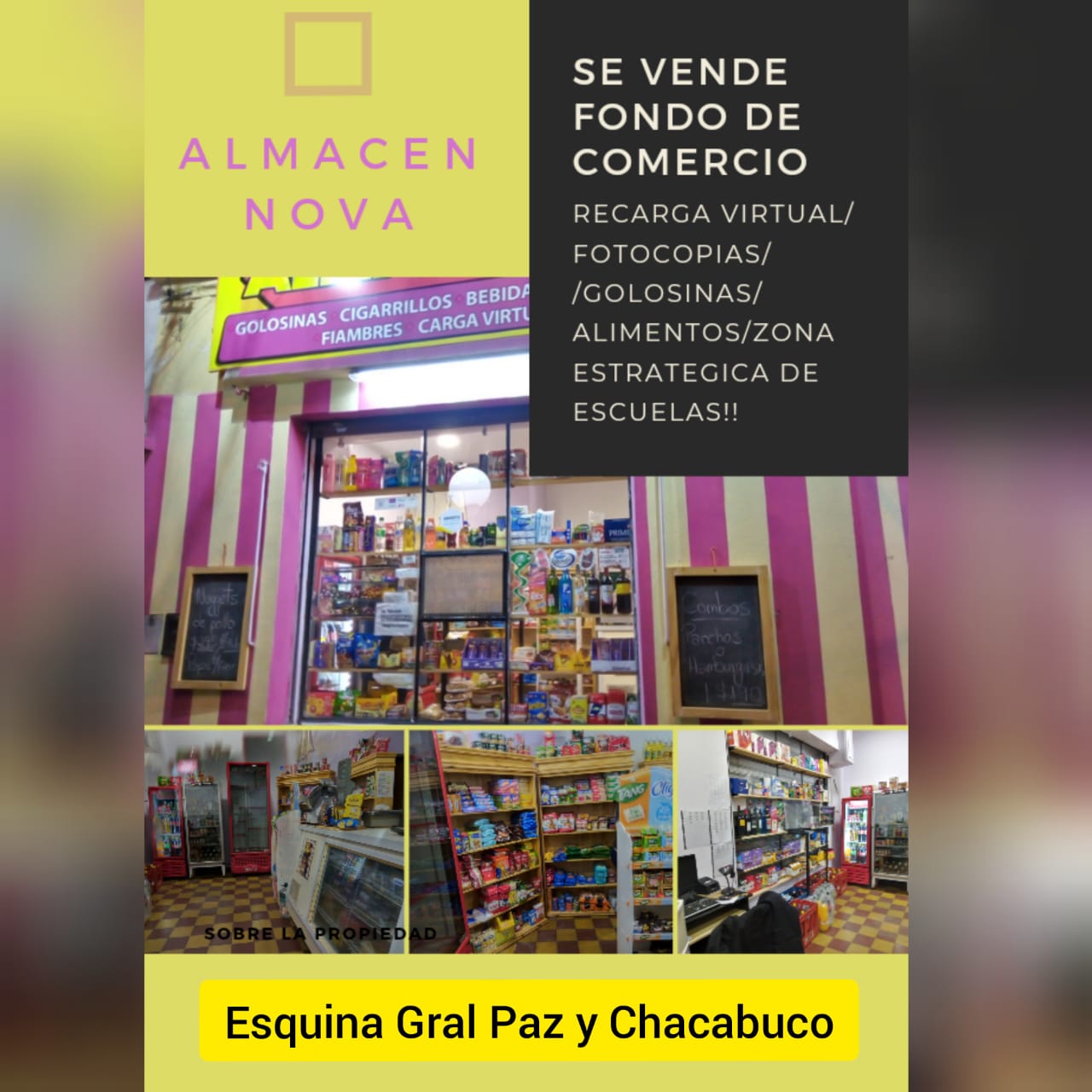 Whatsapp image 2021 08 13 at 16.39.04  2 