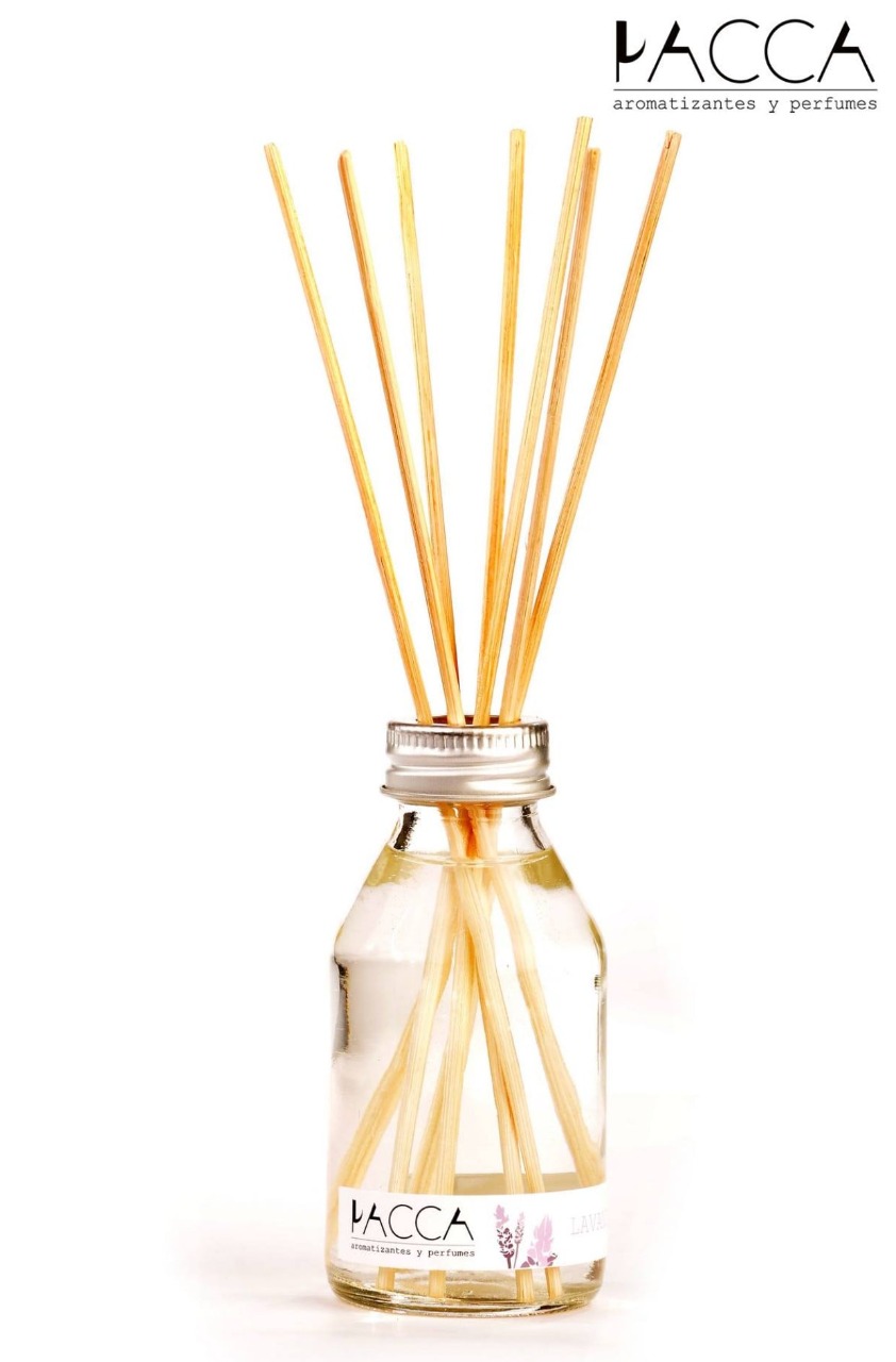 Whatsapp image 2021 09 03 at 10.11.12  1 