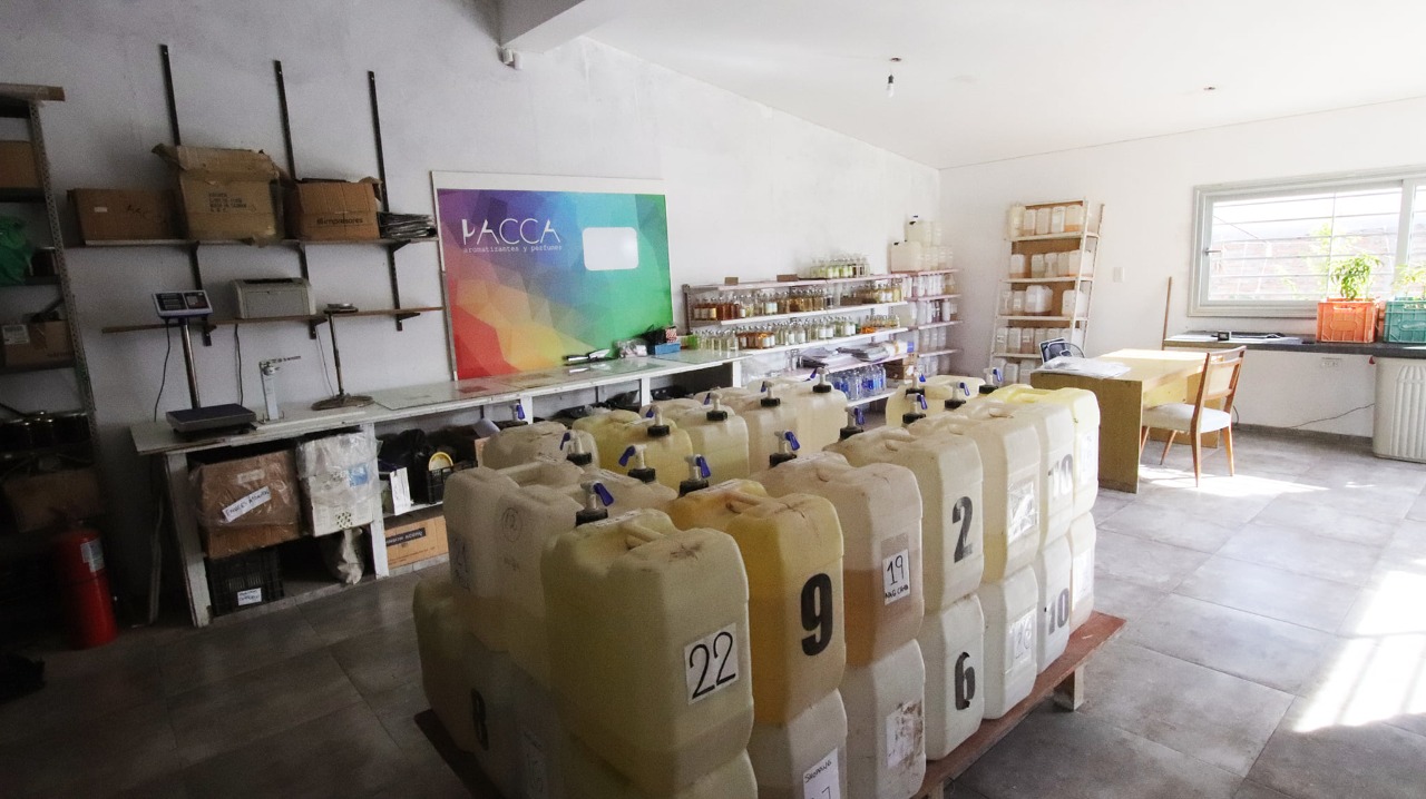 Whatsapp image 2021 09 03 at 10.11.15