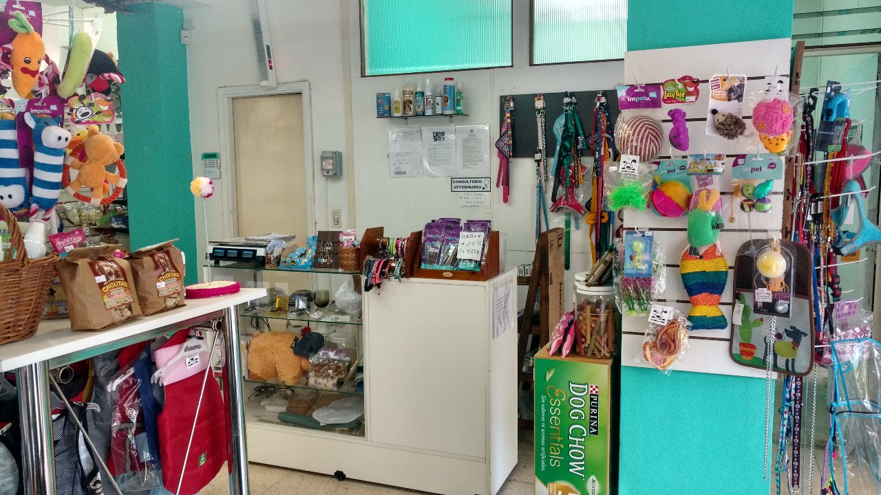 Whatsapp image 2018 04 04 at 1.41.40 pm  3 