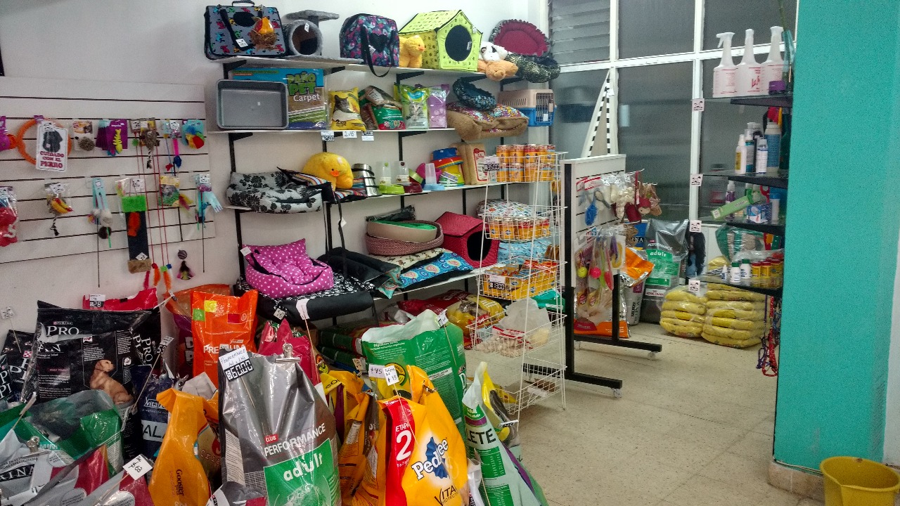 Whatsapp image 2018 04 04 at 1.41.40 pm  2 