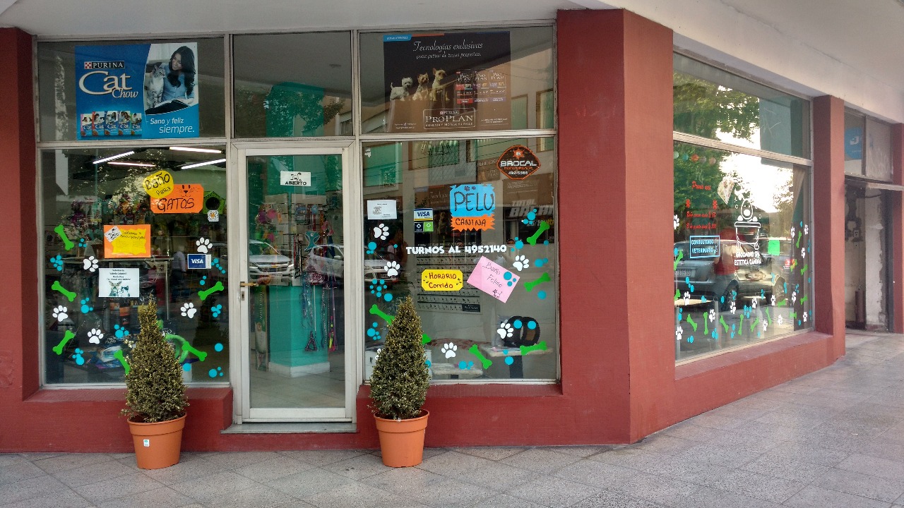 Whatsapp image 2018 04 04 at 1.41.40 pm  4 