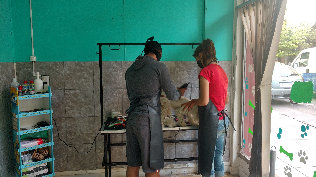 Whatsapp image 2018 04 04 at 1.41.40 pm