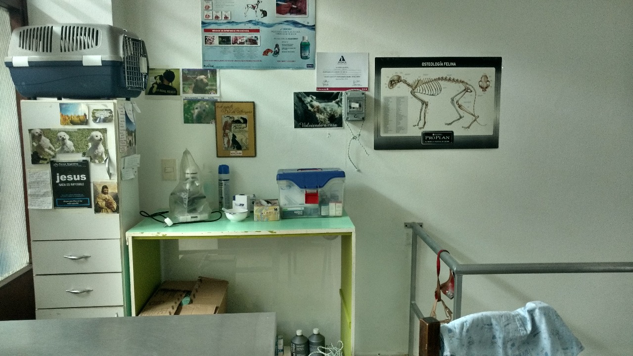 Whatsapp image 2018 04 04 at 1.41.40 pm  1 