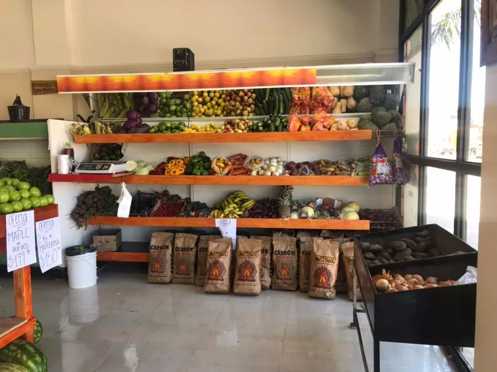 Whatsapp image 2023 03 08 at 19.48.47  1 