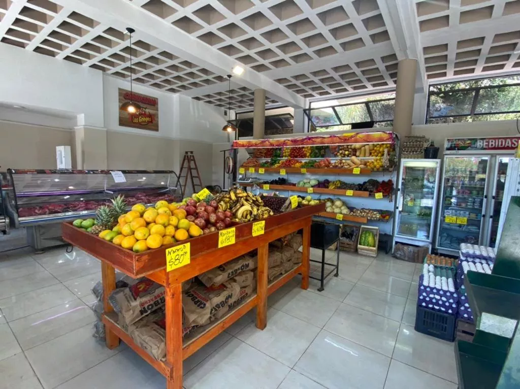 Whatsapp image 2023 03 08 at 19.48.49  1 