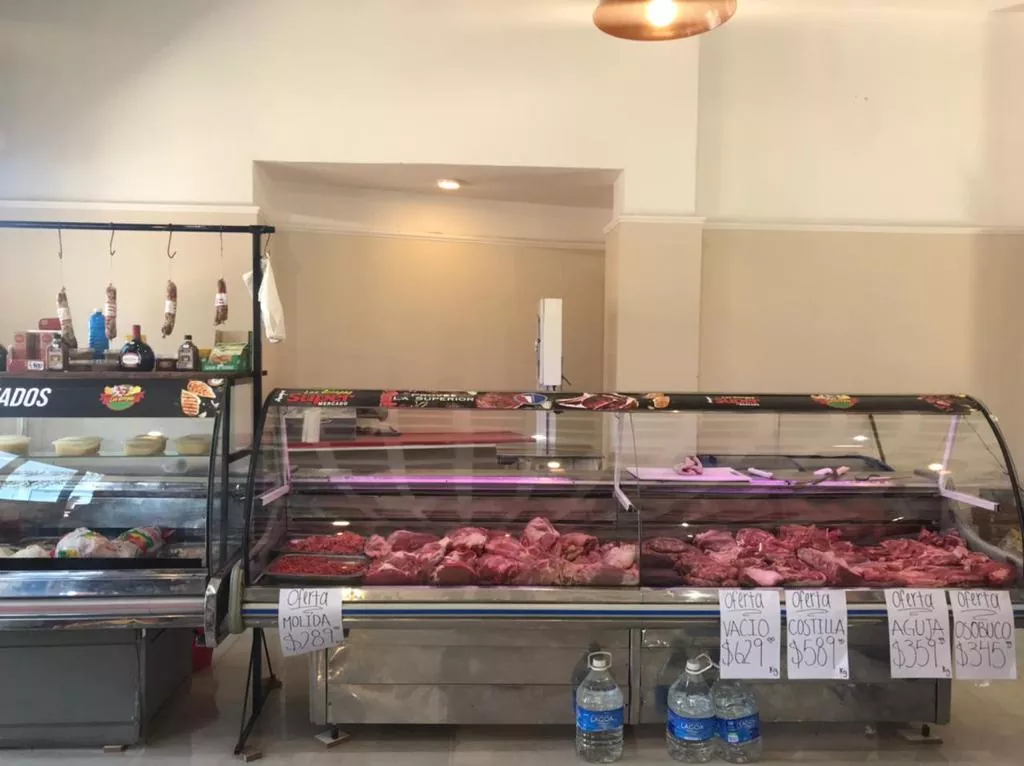 Whatsapp image 2023 03 08 at 19.48.49