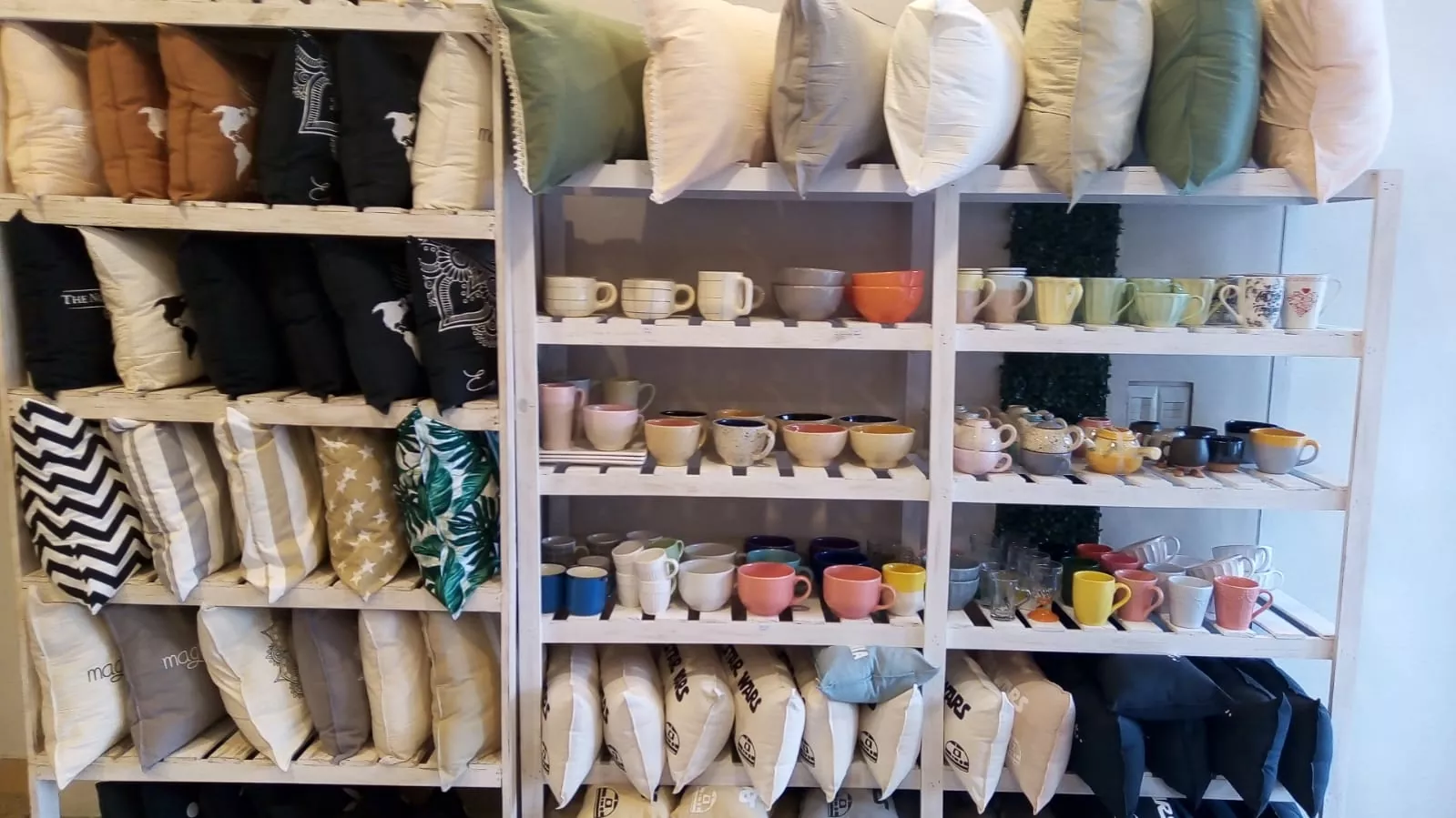 Whatsapp image 2023 08 15 at 12.41.47