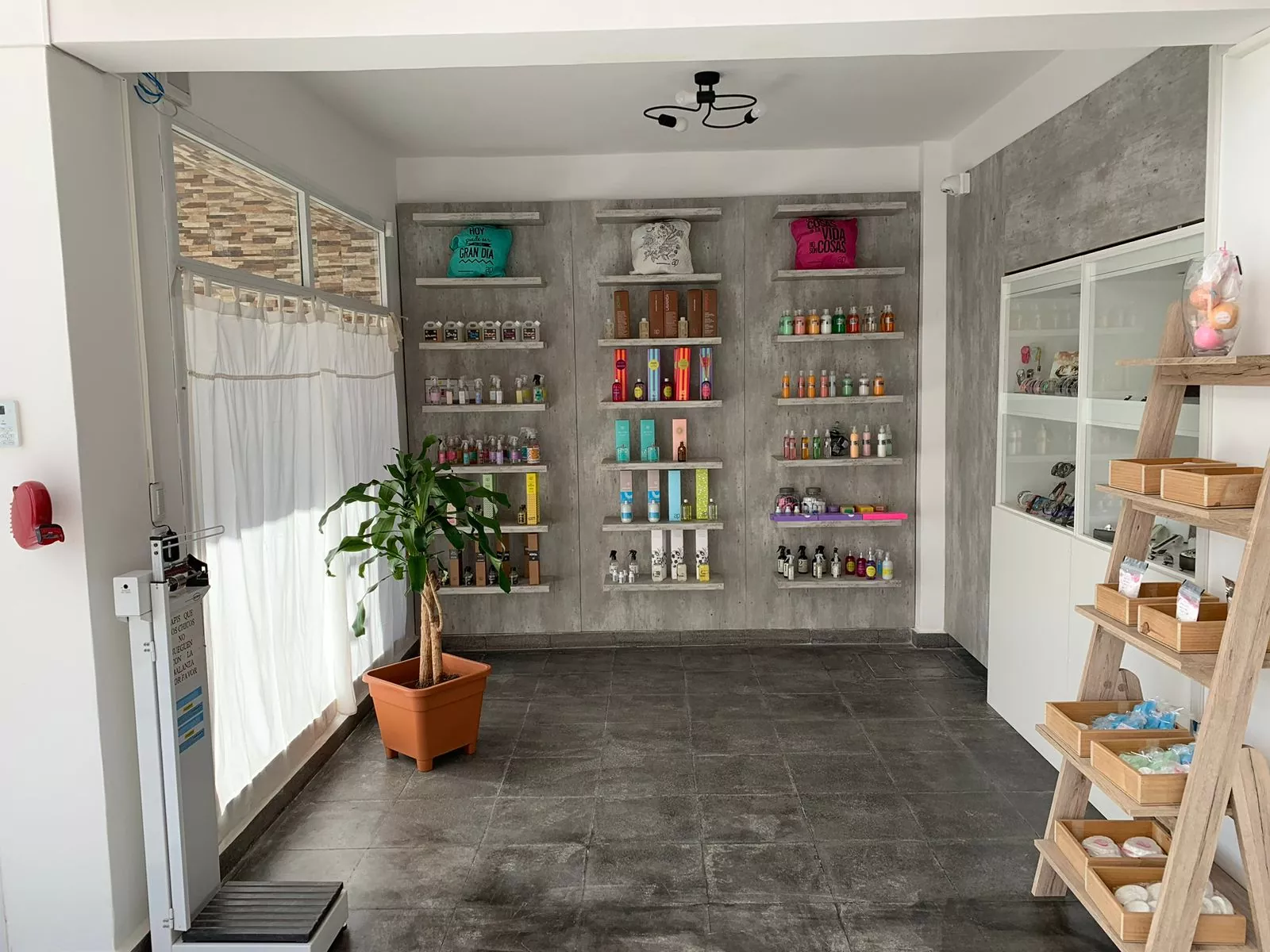 Whatsapp image 2023 09 07 at 13.59.39