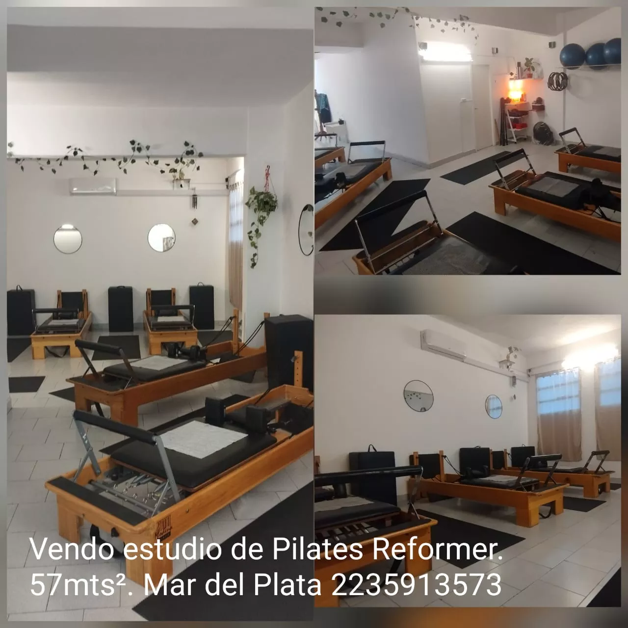 Imagen de whatsapp 2025 08 20 a las 12.27.31 4523c06c