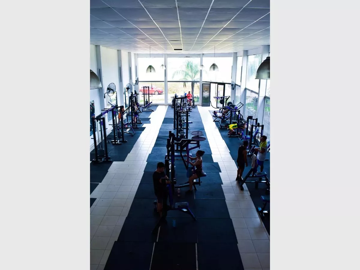 Show whatsapp image 2025 09 03 at 19.25.31