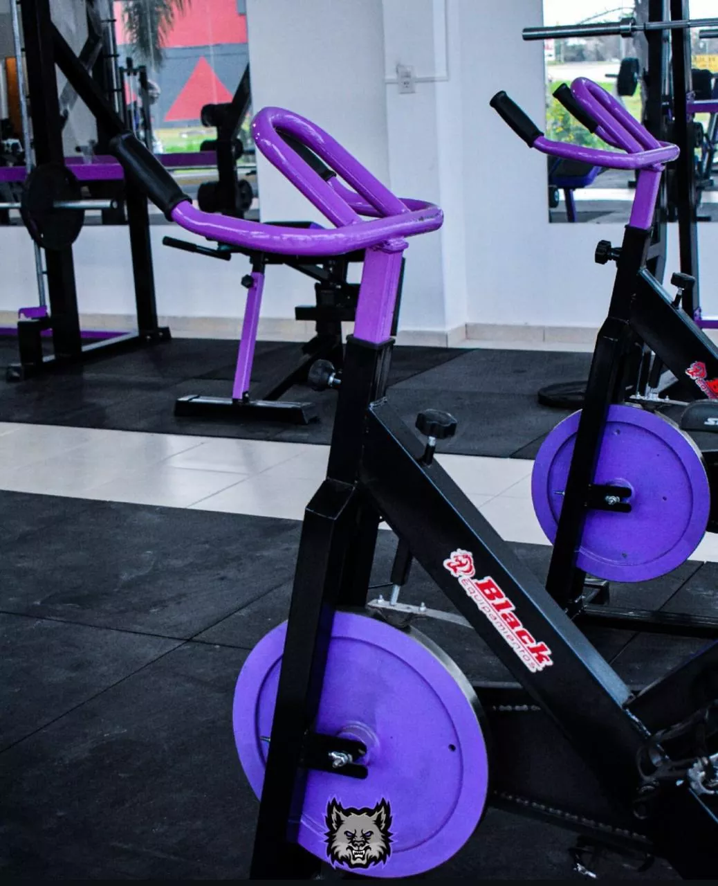 Whatsapp image 2025 08 24 at 20.31.11