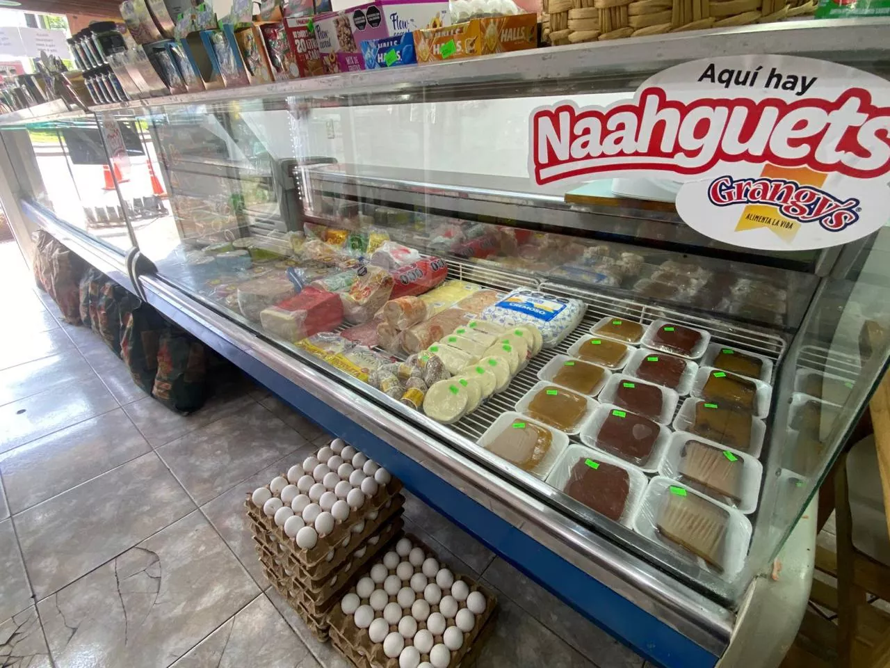 Whatsapp image 2025 10 21 at 11.36.24  1 