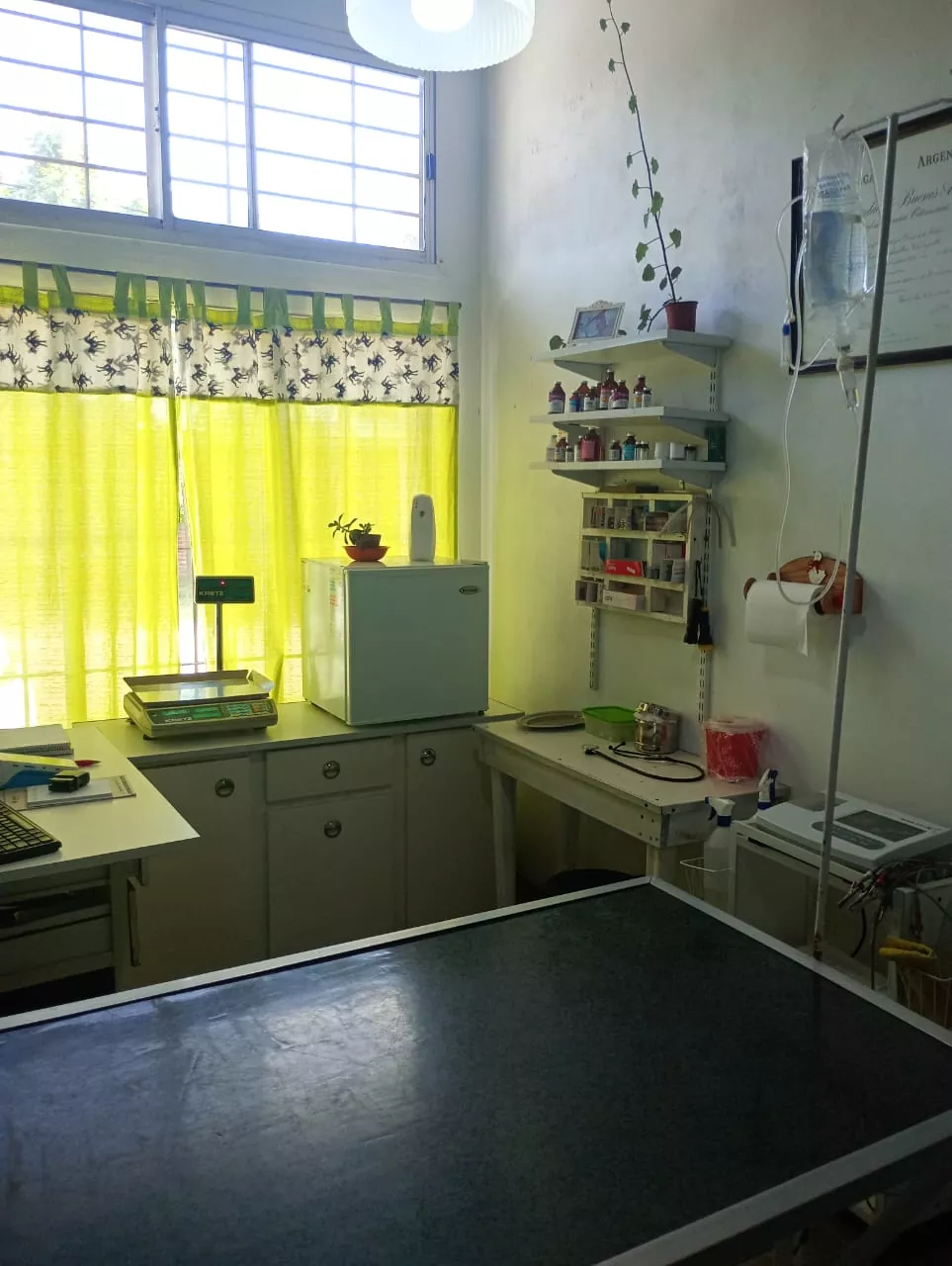 106b152e 2388 4ebb 89ec b412a22301ea