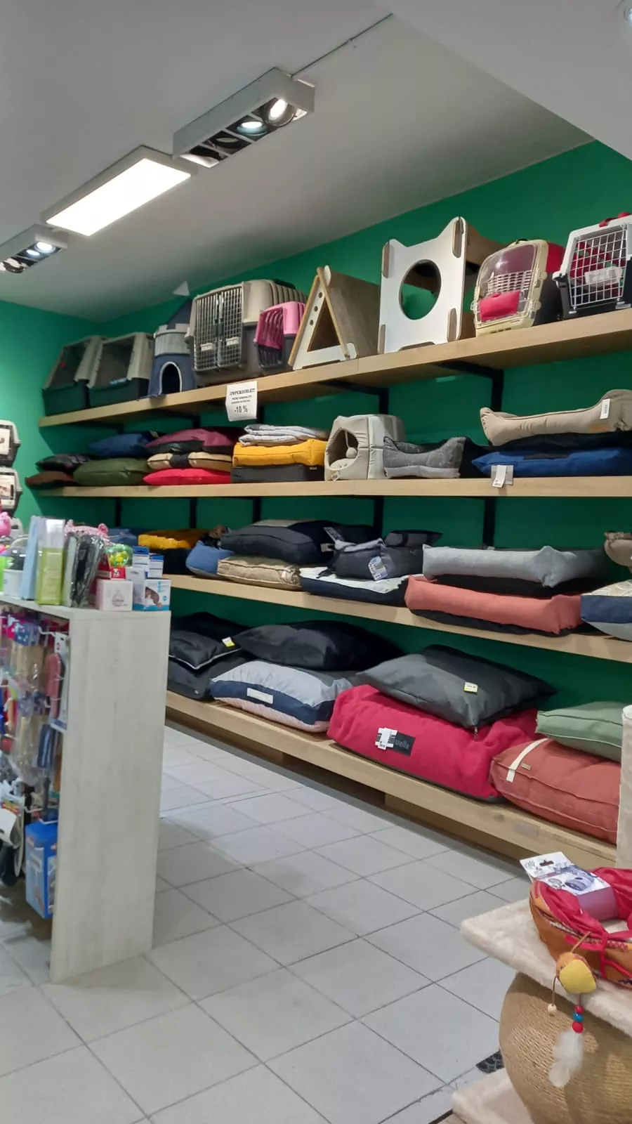 Foto local colchonetas