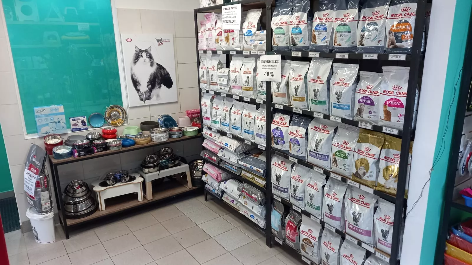 Foto local royal gatos 