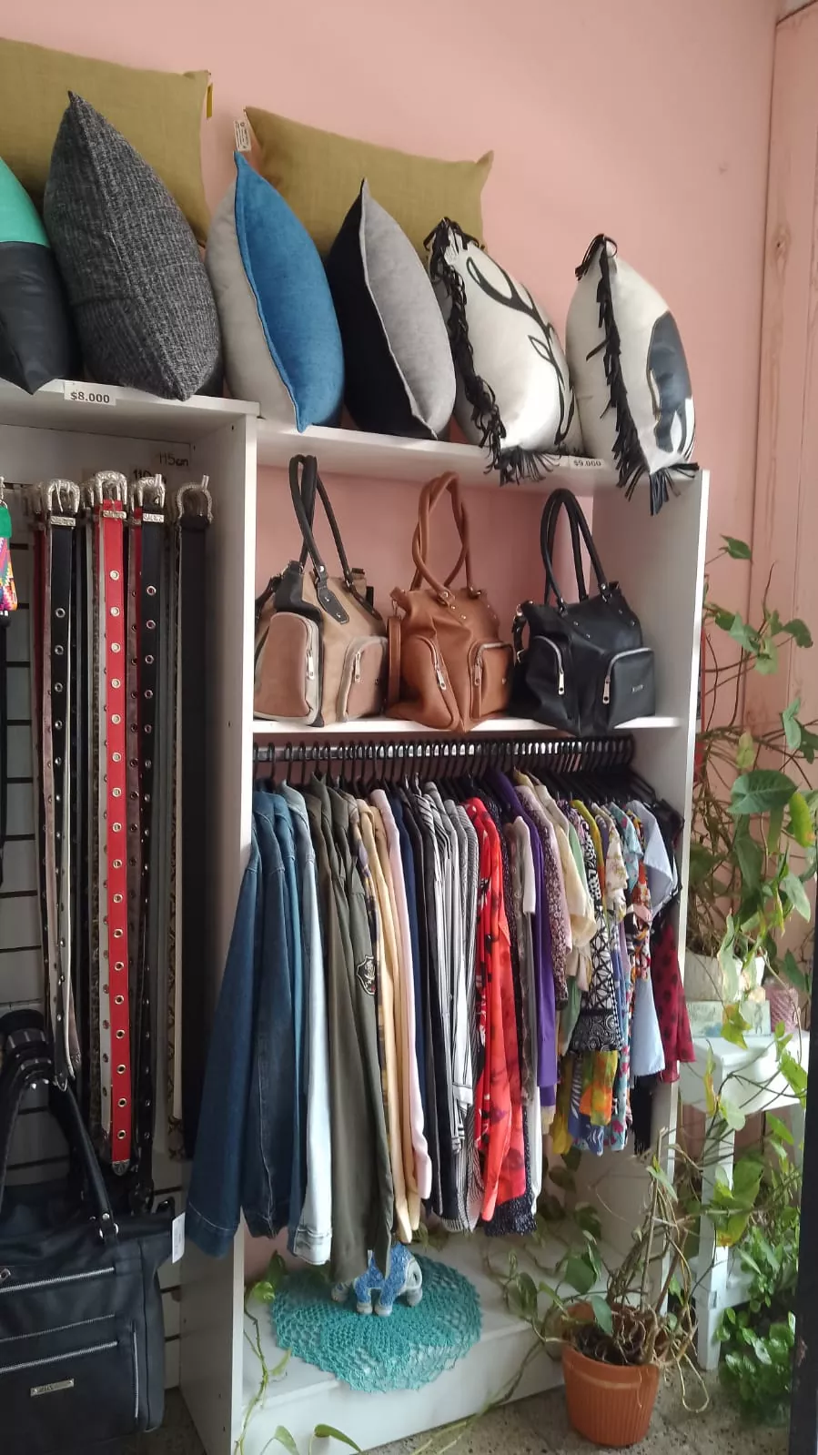 D89b9c6b c343 418a 8370 651603cb07c9