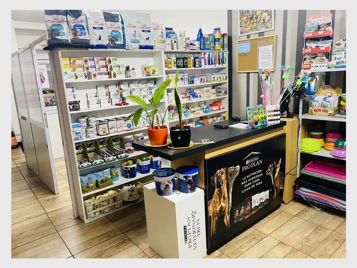 Show img 9451 original