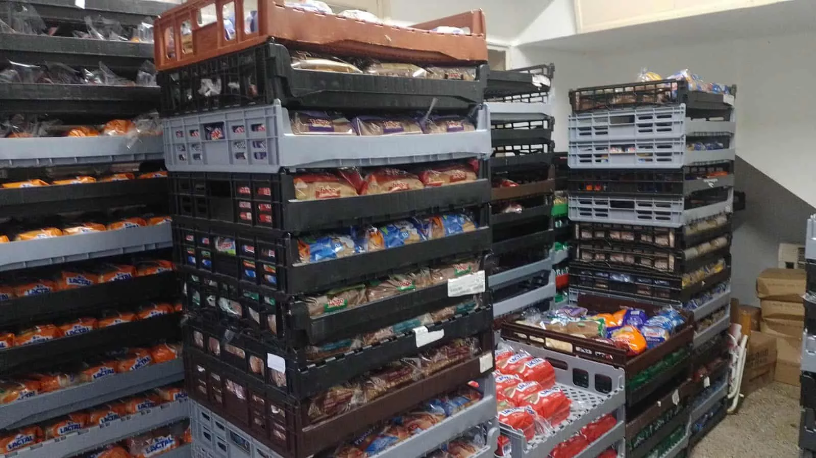 8ebdc48f e72f 4535 b81c 9f8f20fc2f14