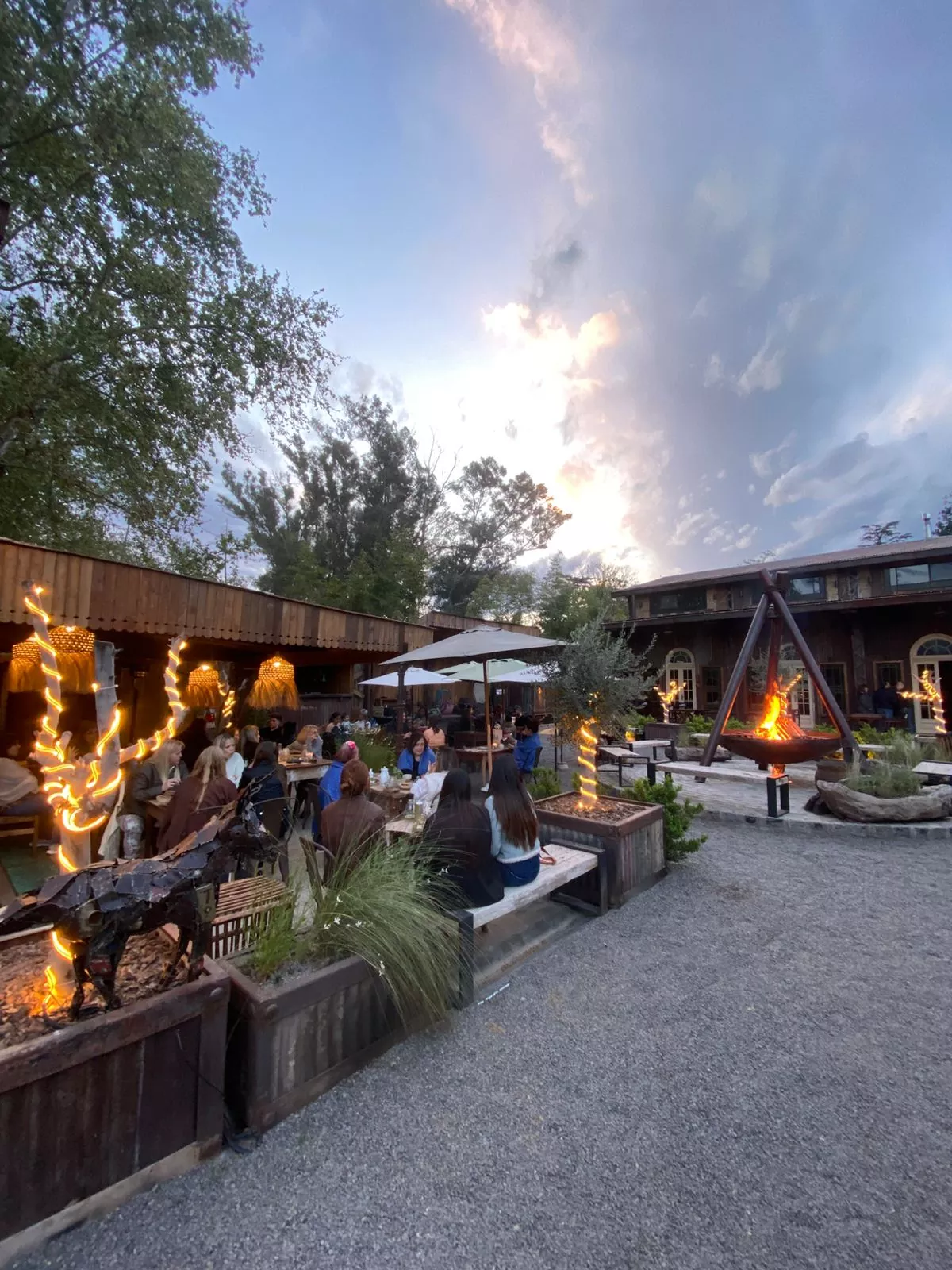 Whatsapp image 2025 11 21 at 11.57.42 am