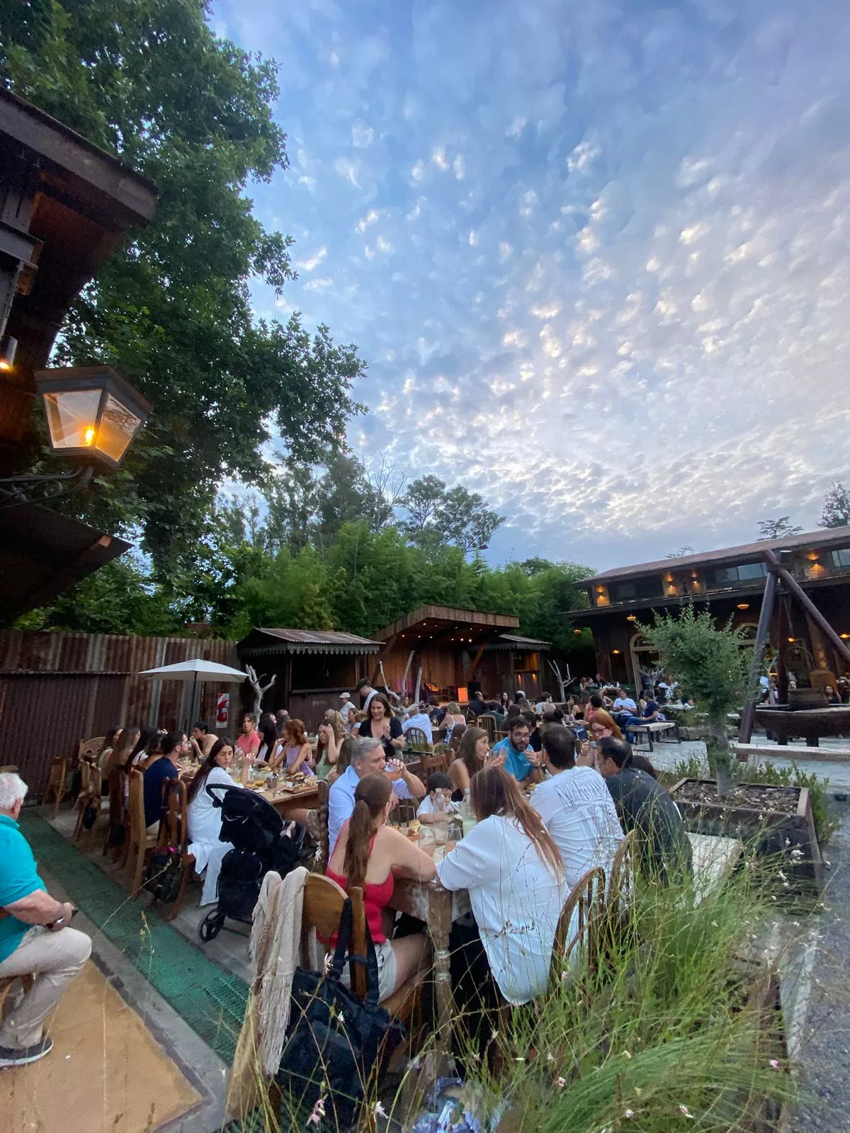 Whatsapp image 2025 11 21 at 11.57.37 am