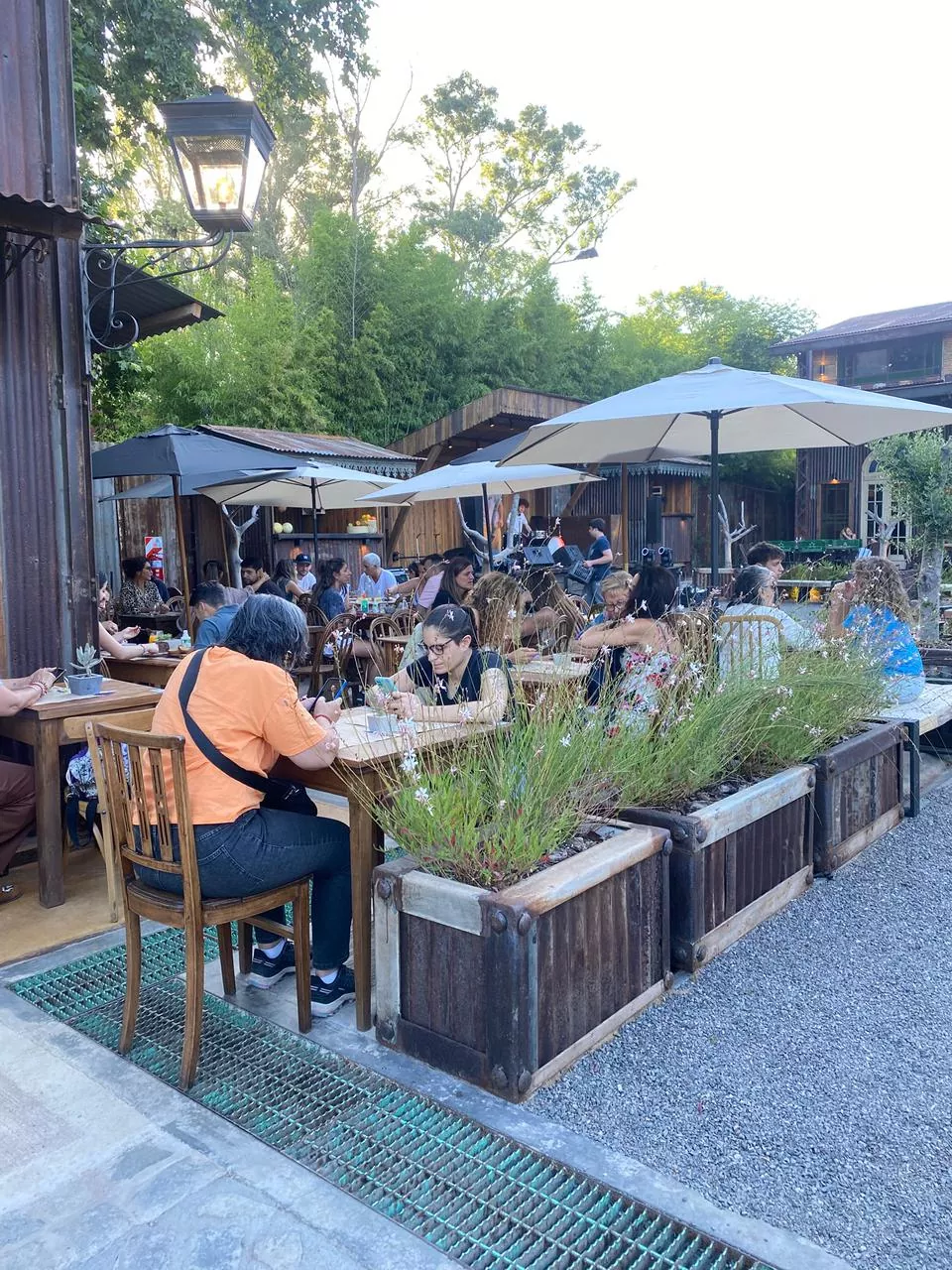 Whatsapp image 2025 11 21 at 11.55.30 am  1 