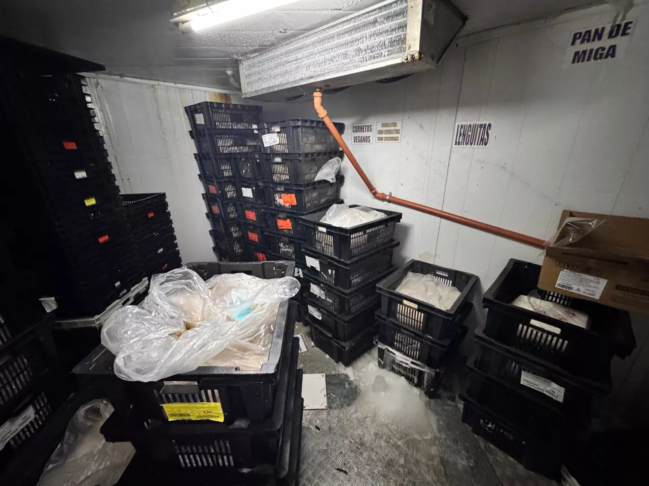 Whatsapp image 2025 12 04 at 10.49.13  8 