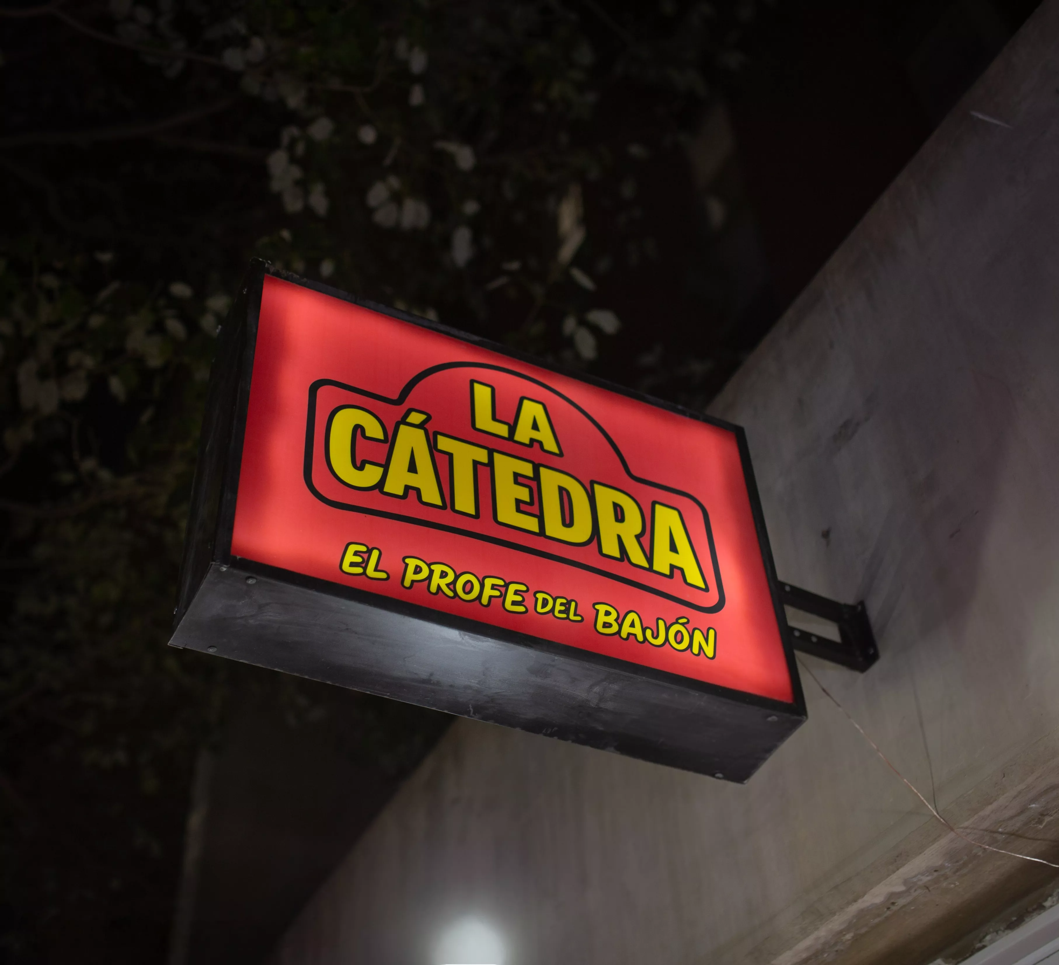 La catedra 33 1 