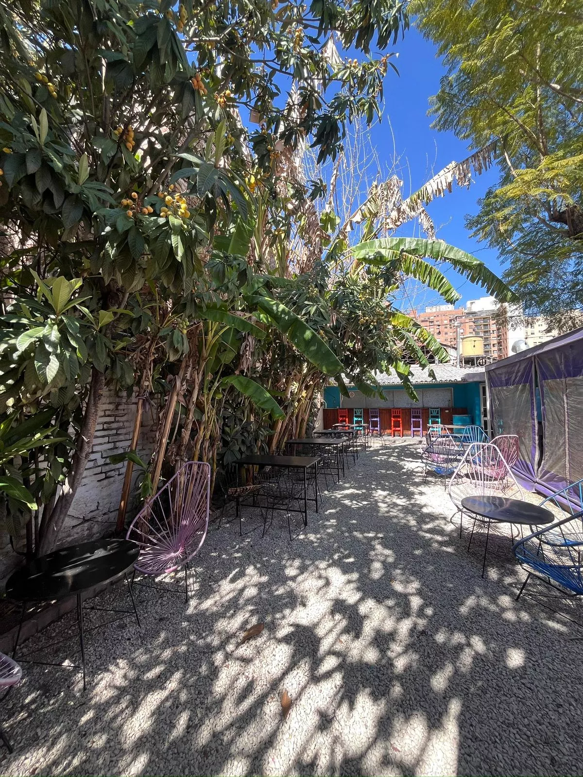 Whatsapp image 2026 01 01 at 5.49.03 pm  2 