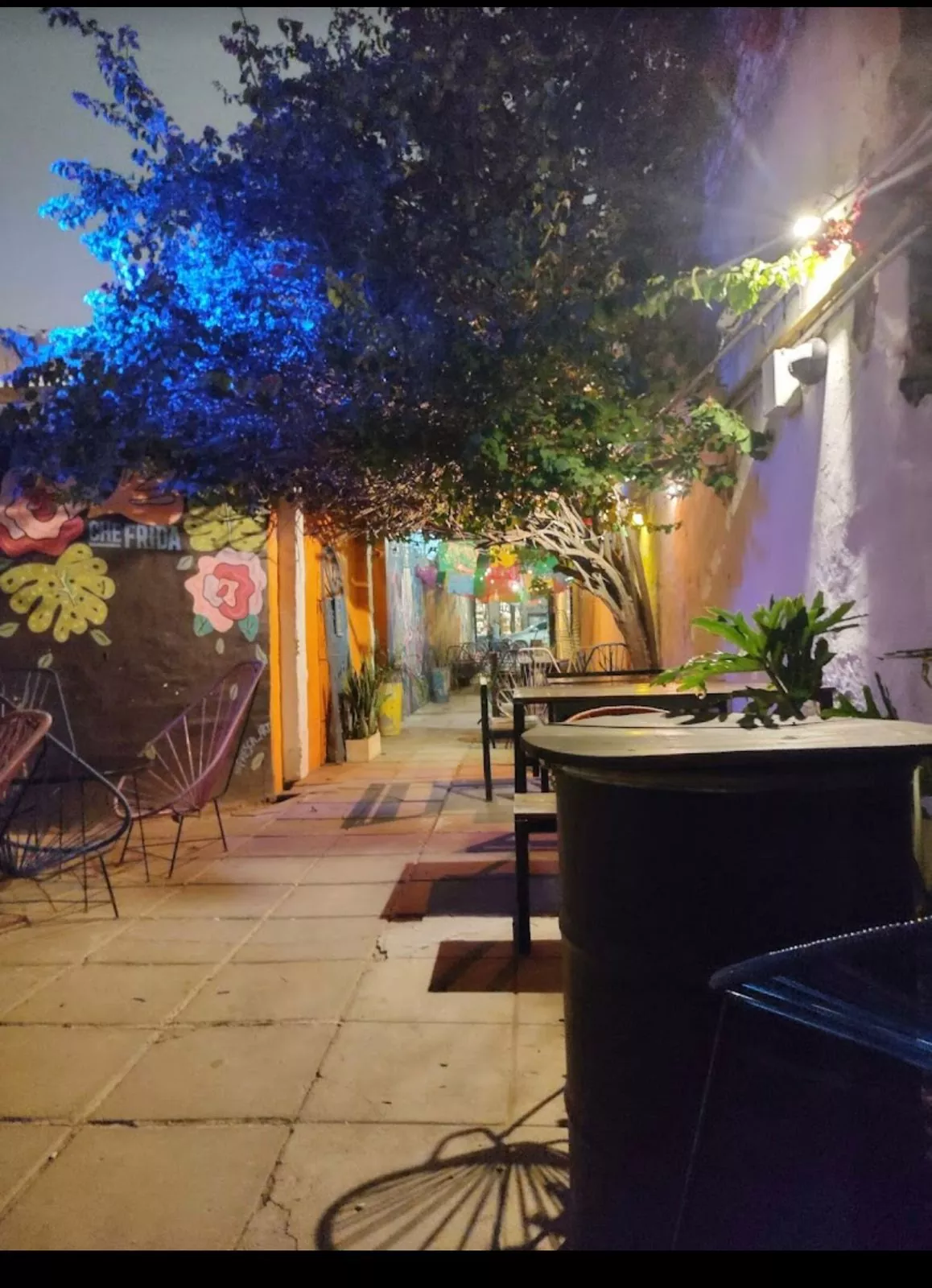 Whatsapp image 2026 01 01 at 5.49.04 pm  1 