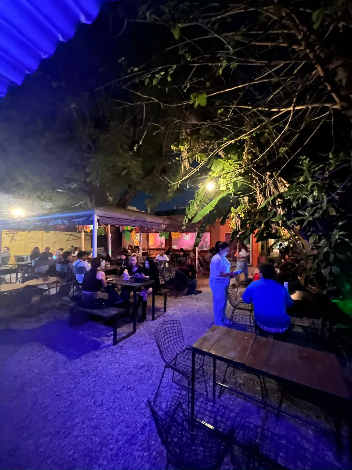 Whatsapp image 2026 01 01 at 5.49.03 pm  1 