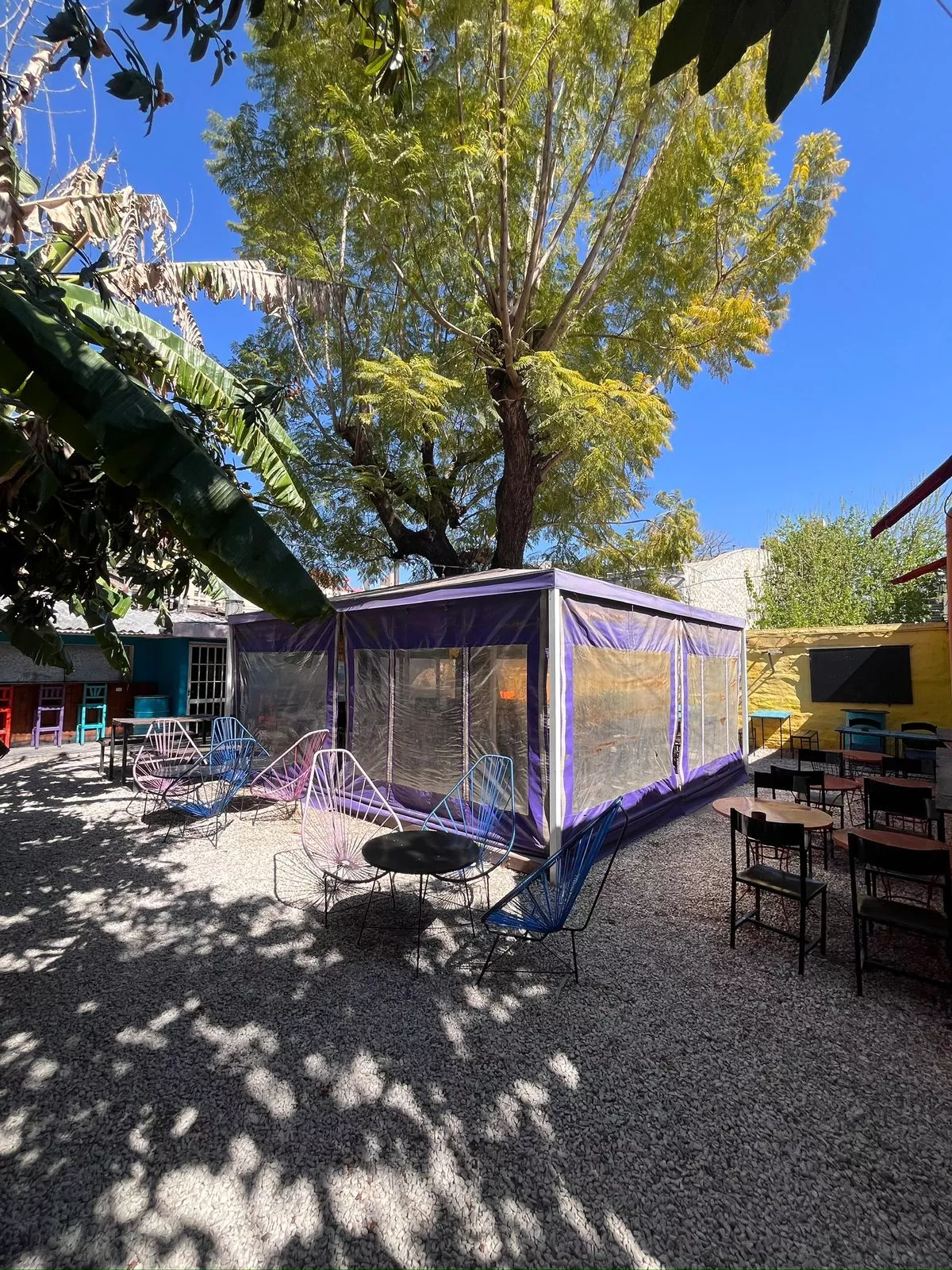 Whatsapp image 2026 01 01 at 5.49.03 pm