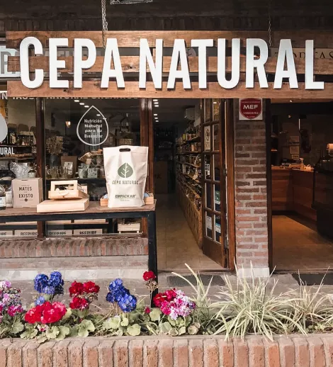 Captura de pantalla 2026 01 26 134422