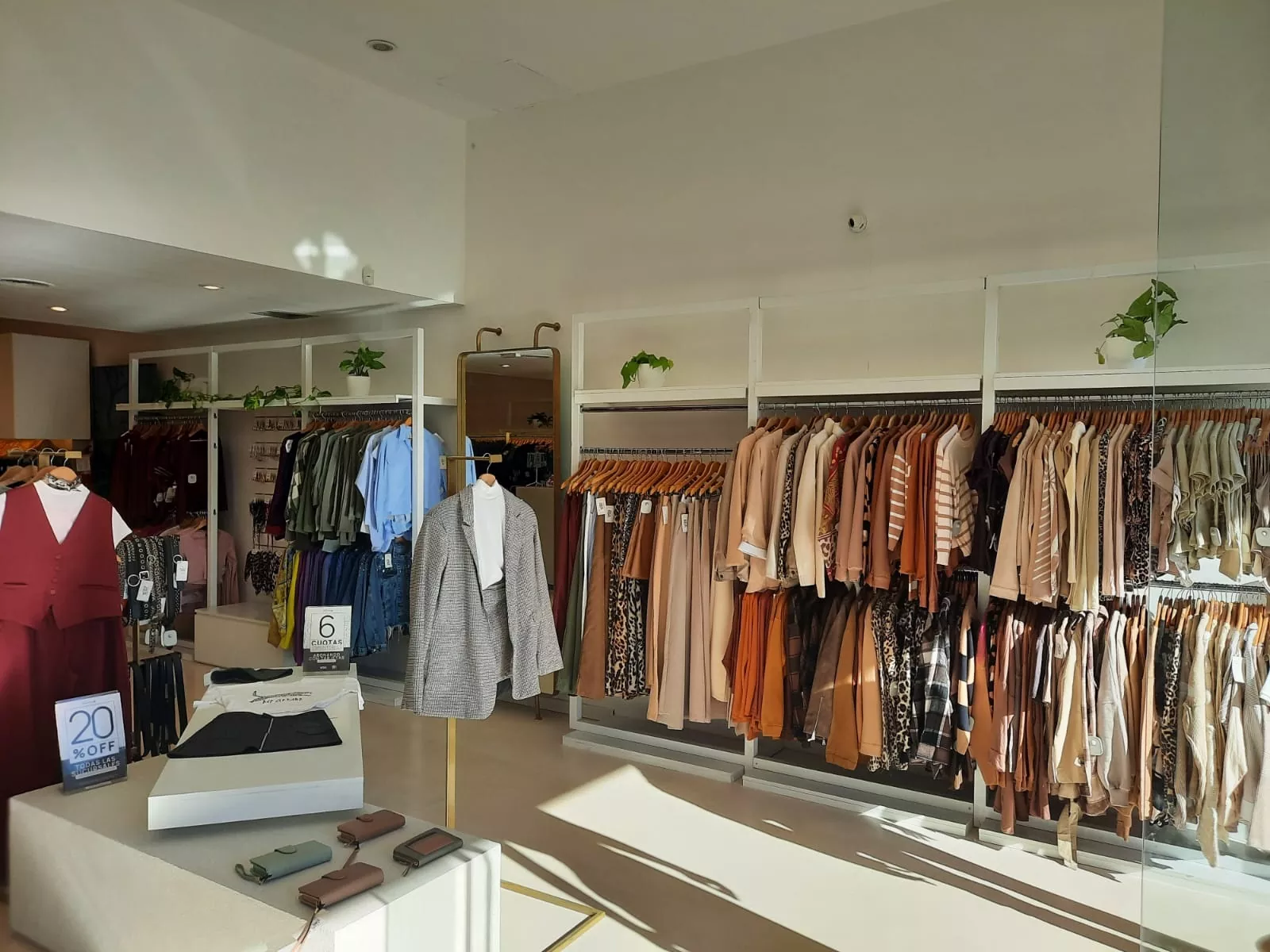 Whatsapp image 2025 03 10 at 17.42.03