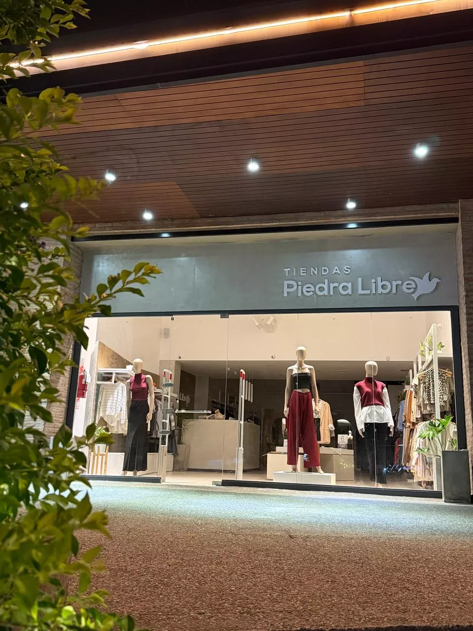 Whatsapp image 2025 03 11 at 09.08.08