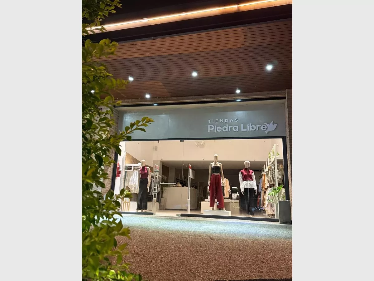 Show whatsapp image 2025 03 11 at 09.08.08