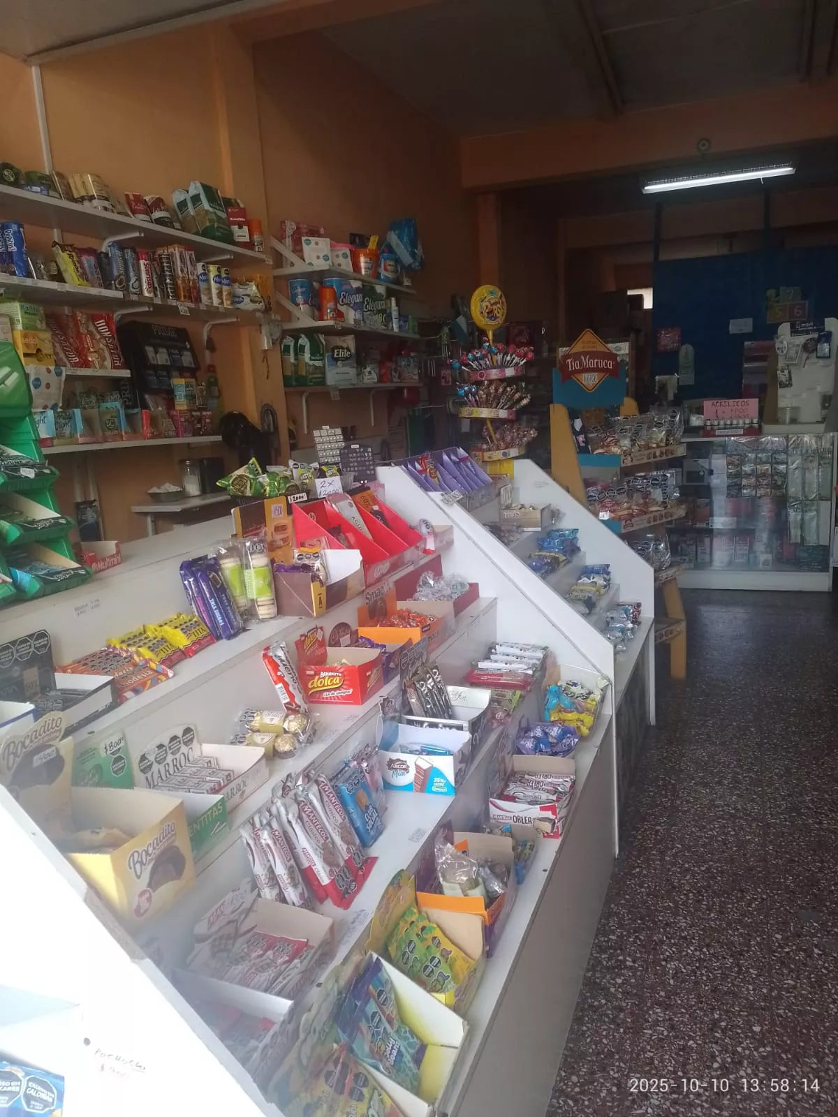 Whatsapp image 2026 01 31 at 16.16.08  3 