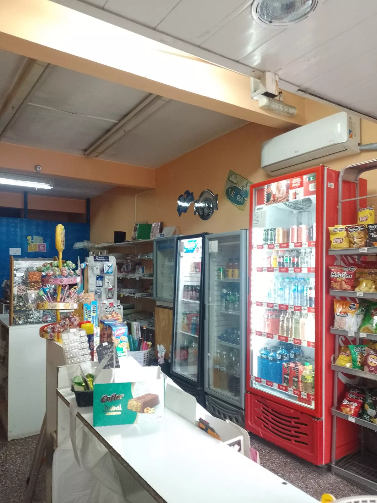 Whatsapp image 2026 01 31 at 16.16.08