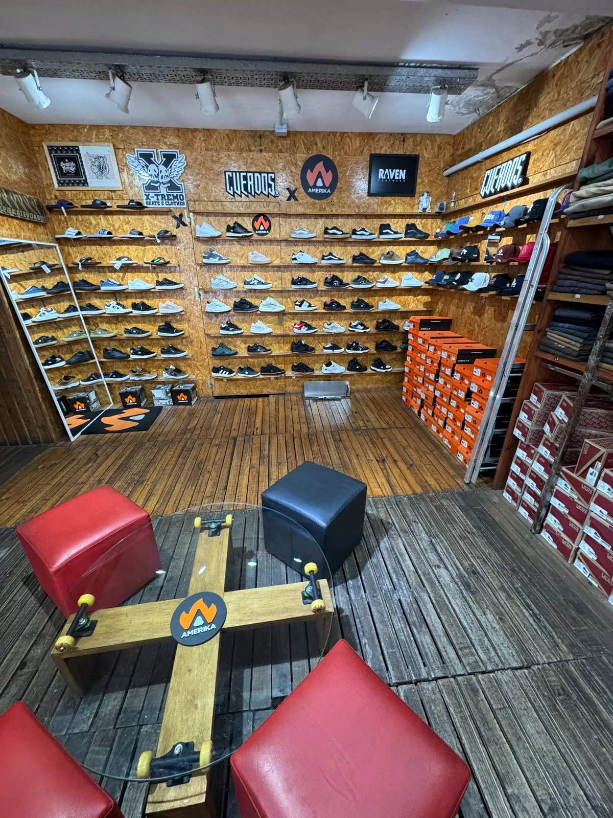 Whatsapp image 2026 02 09 at 7.50.59 pm