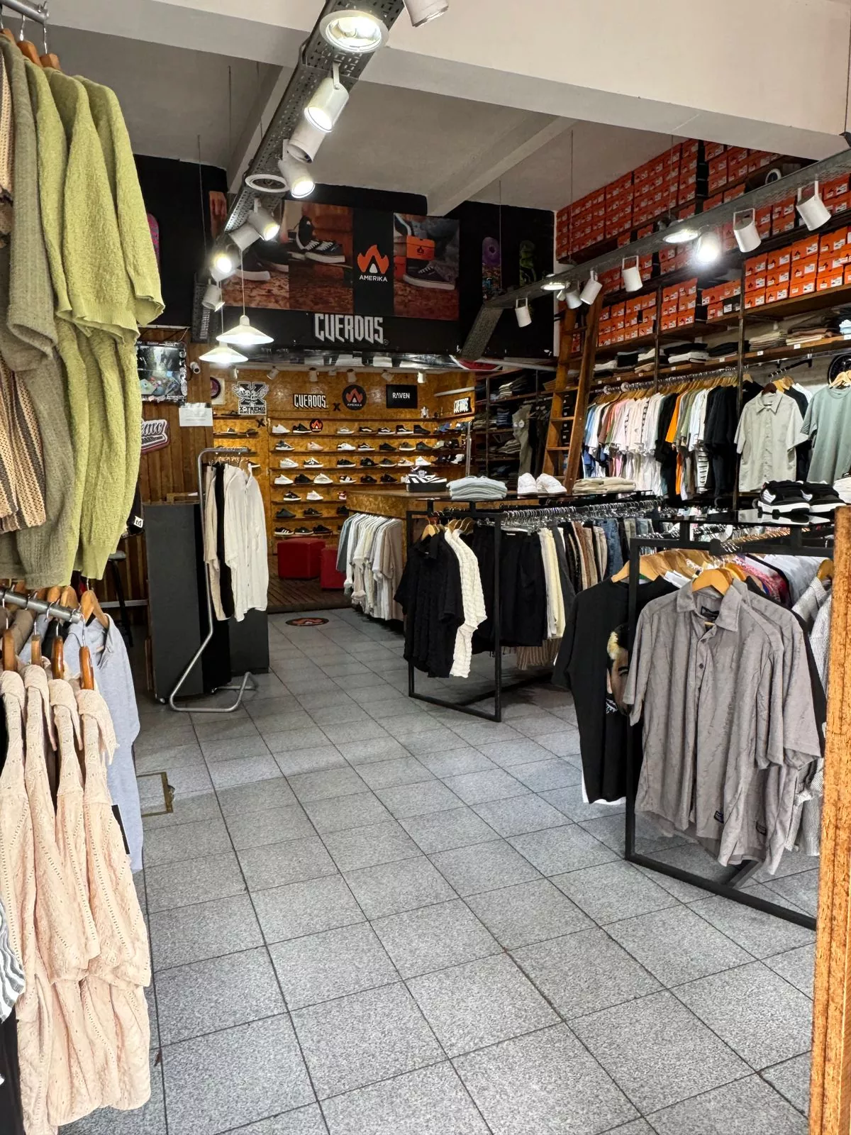 Whatsapp image 2026 02 09 at 7.51.00 pm