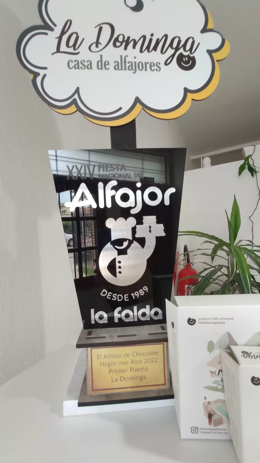 Whatsapp image 2026 02 20 at 12.19.49 pm  3 