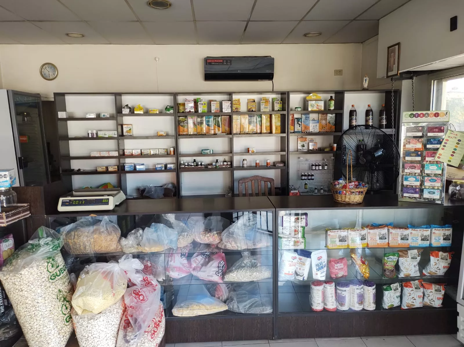 Whatsapp image 2026 02 26 at 08.11.04  1 