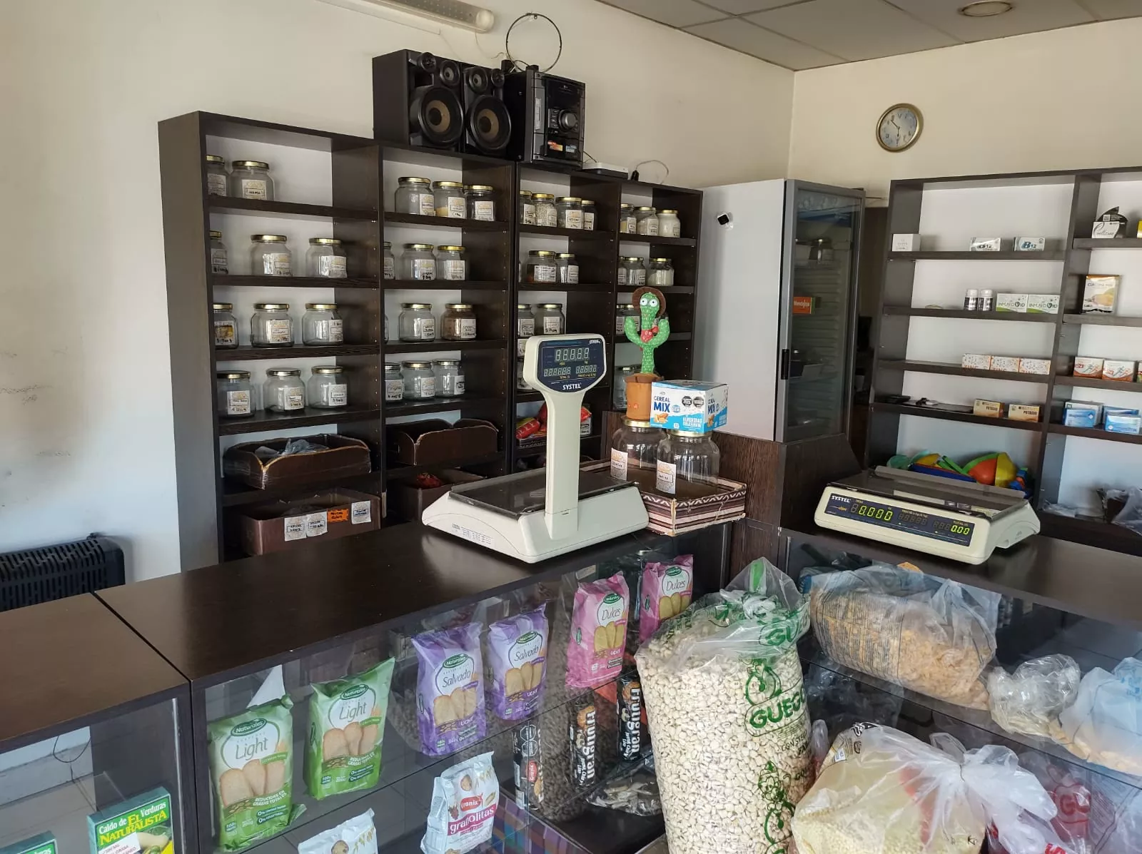 Whatsapp image 2026 02 26 at 08.11.08