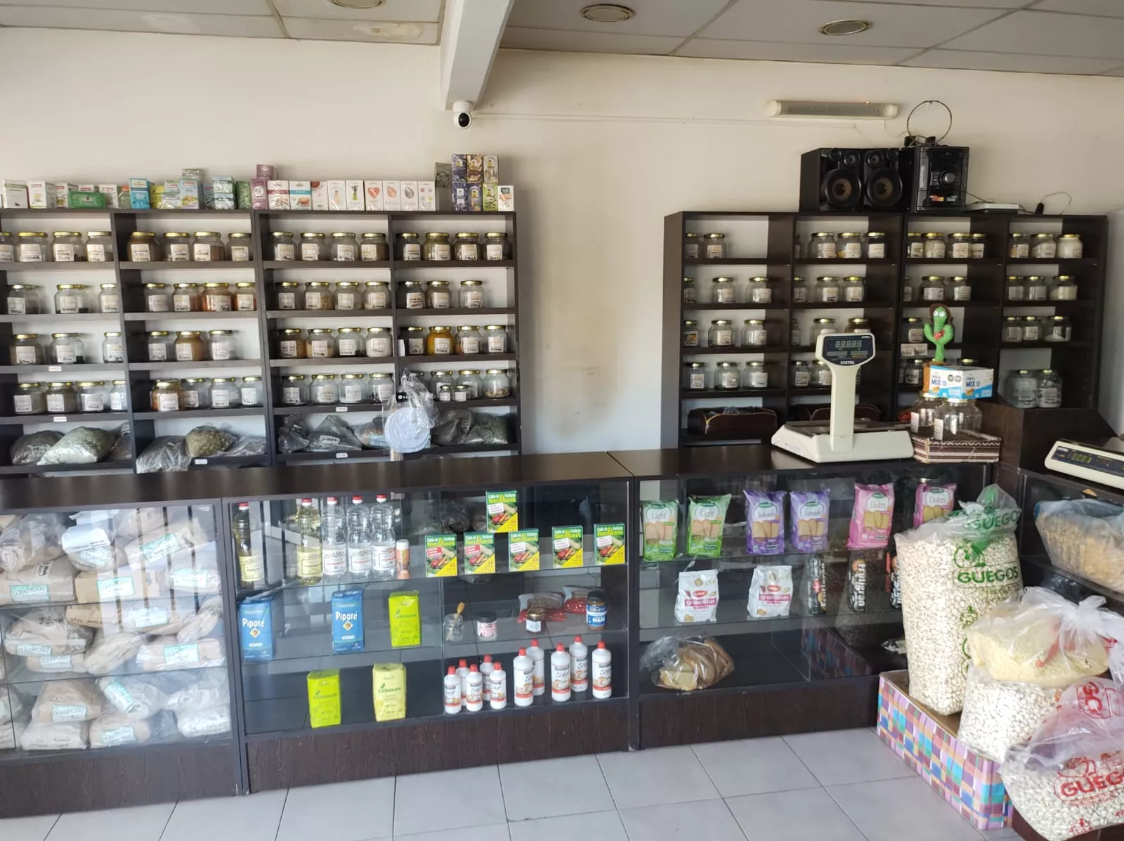 Whatsapp image 2026 02 26 at 08.11.09  1 