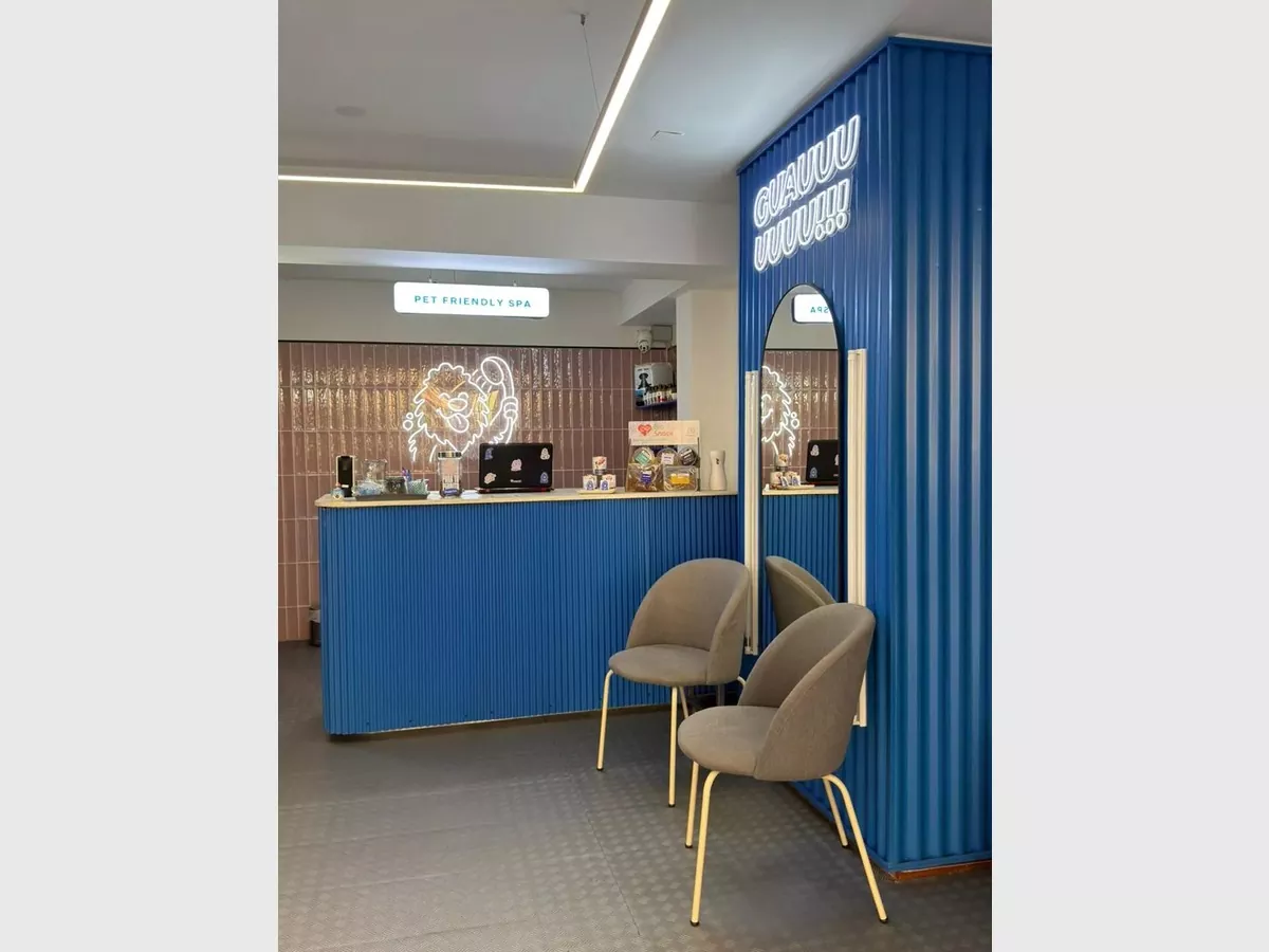 Show whatsapp image 2026 03 01 at 6.20.04 pm  1 