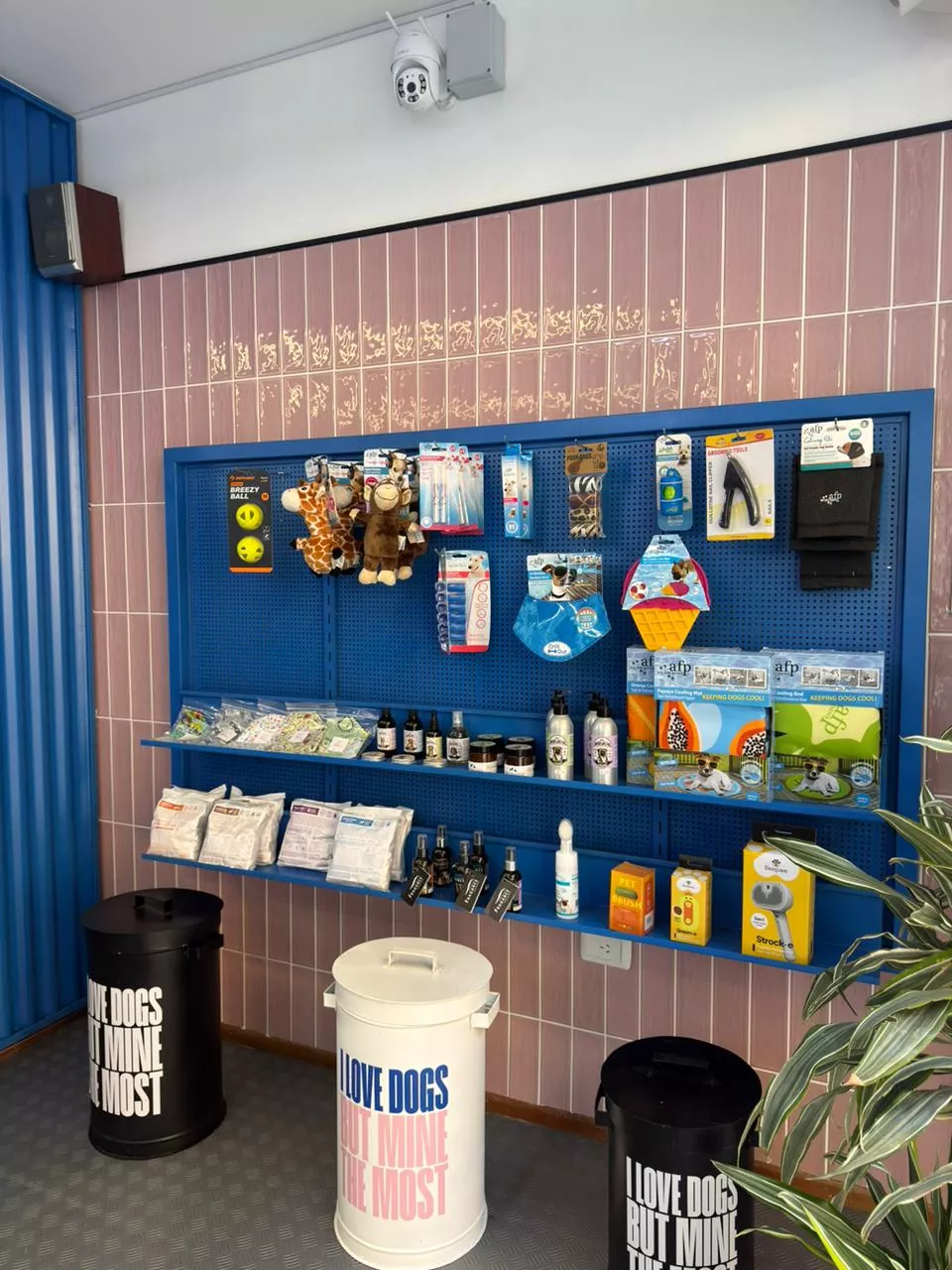 Whatsapp image 2026 03 01 at 6.20.04 pm  2 